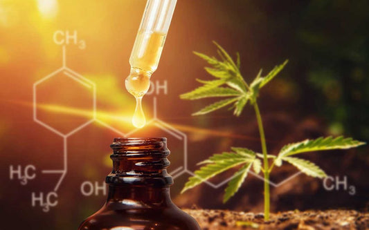 Dabbing CBD VS Vaping CBD - Which one is better for you?
