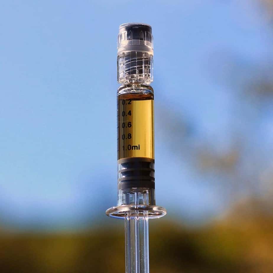 Terpenes: What happens when these aromatic compounds in cannabis enter the body?