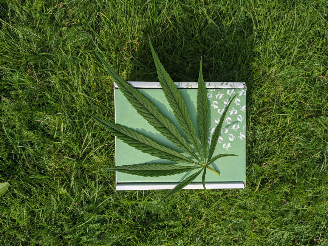 CBD Laws and Regulations