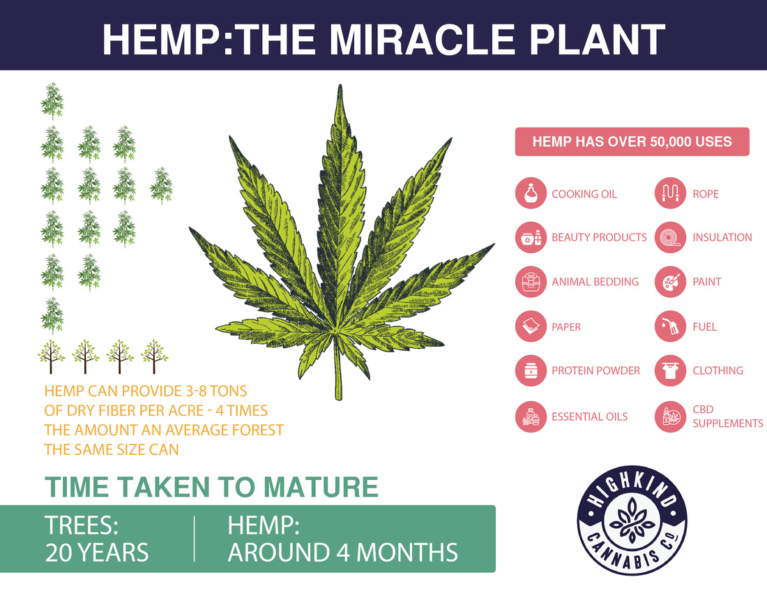 Hemp: The Miracle Plant