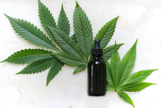 What does CBD oil do?