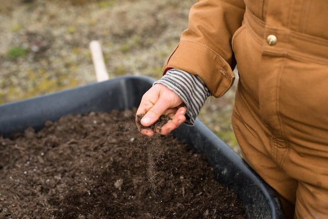 Do living organic soils hold the key to higher terpene yields in cannabis cultivation?